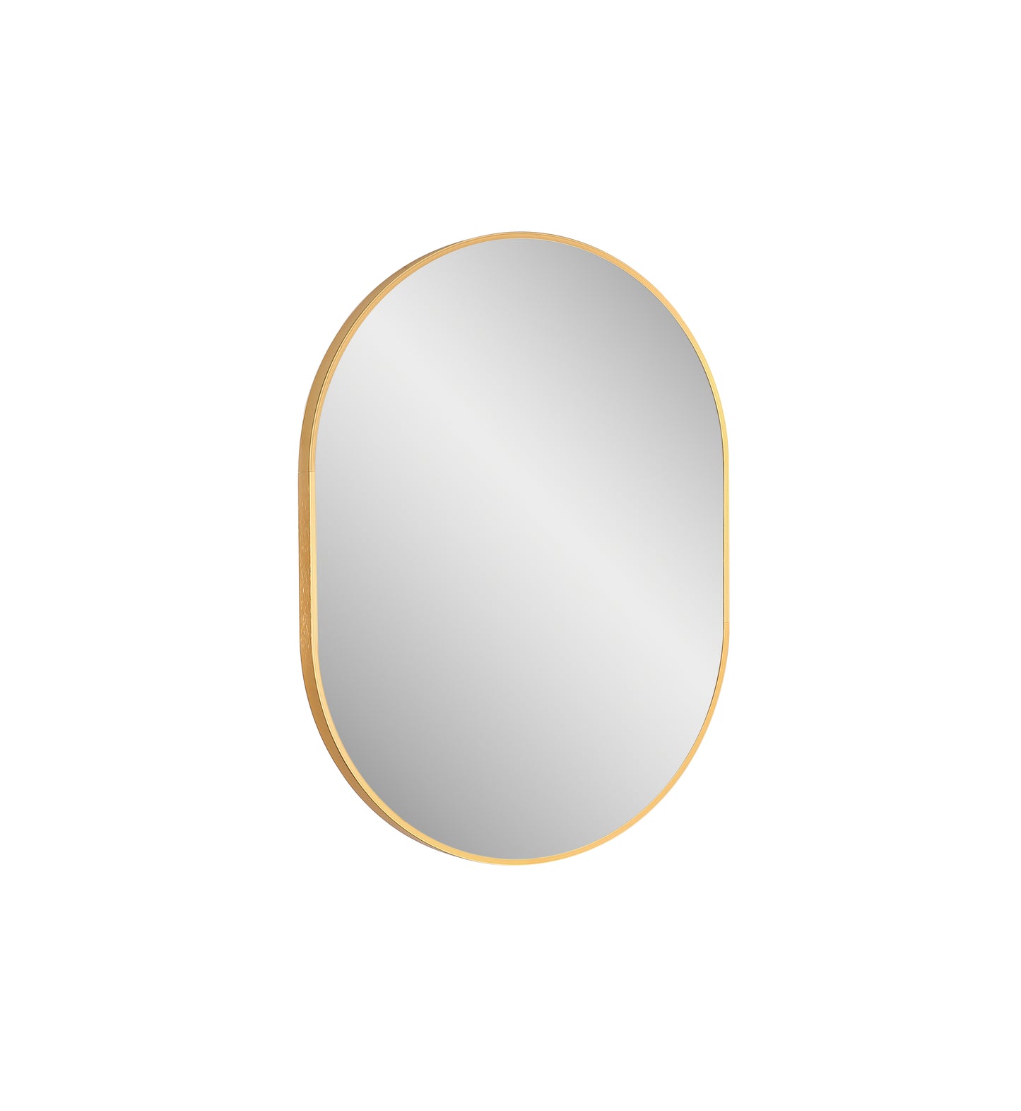 Vera 20" W x 28" H Oval Mirror in Matte Black